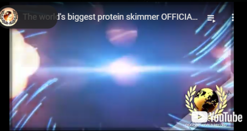 The world's biggest protein skimmer