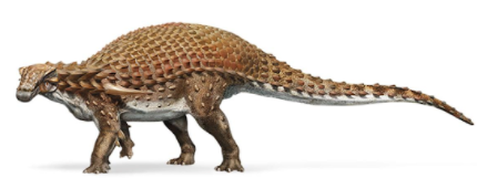 Shockingly lifelike dinosaur fossil makes5