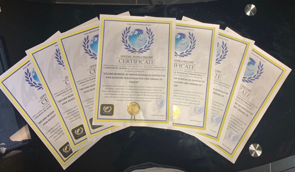 certificate officialworldrecordc - Certificates, Trophies and Medals